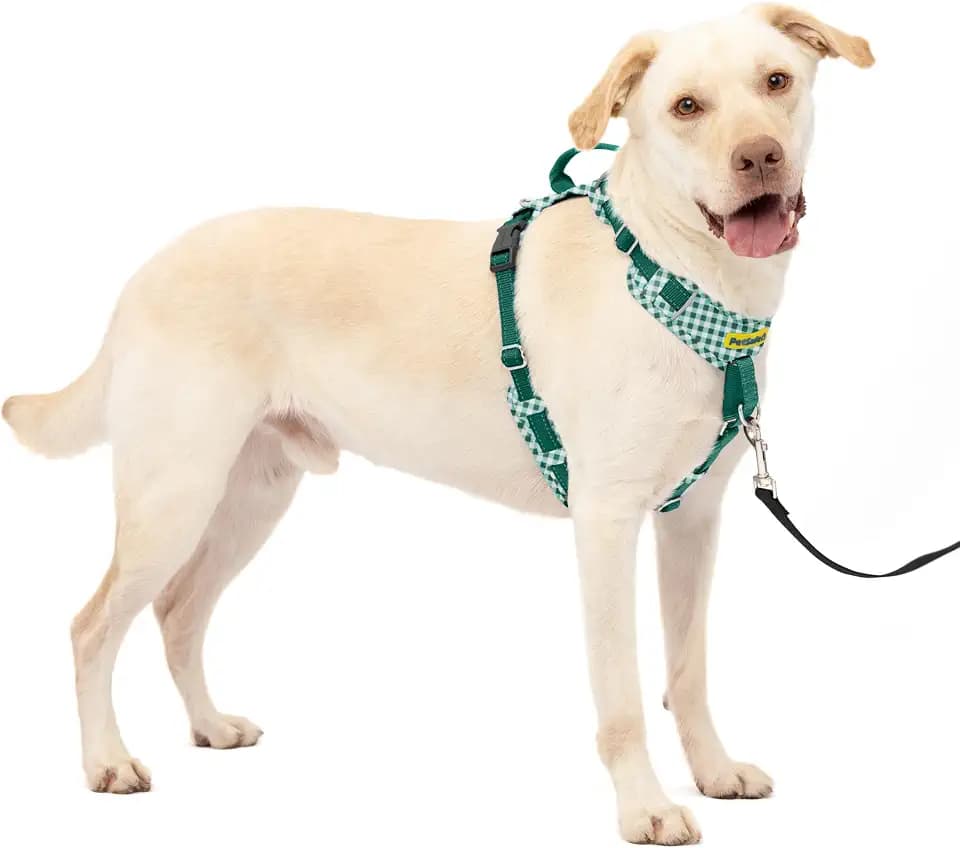 PetSafe Easy Walk Comfort No Pull Dog Harness, Green Gingham, Large