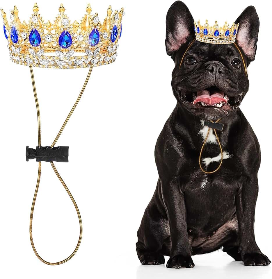 Abbylike Blue Medium Dog Birthday Crown Queen for Pet Costume