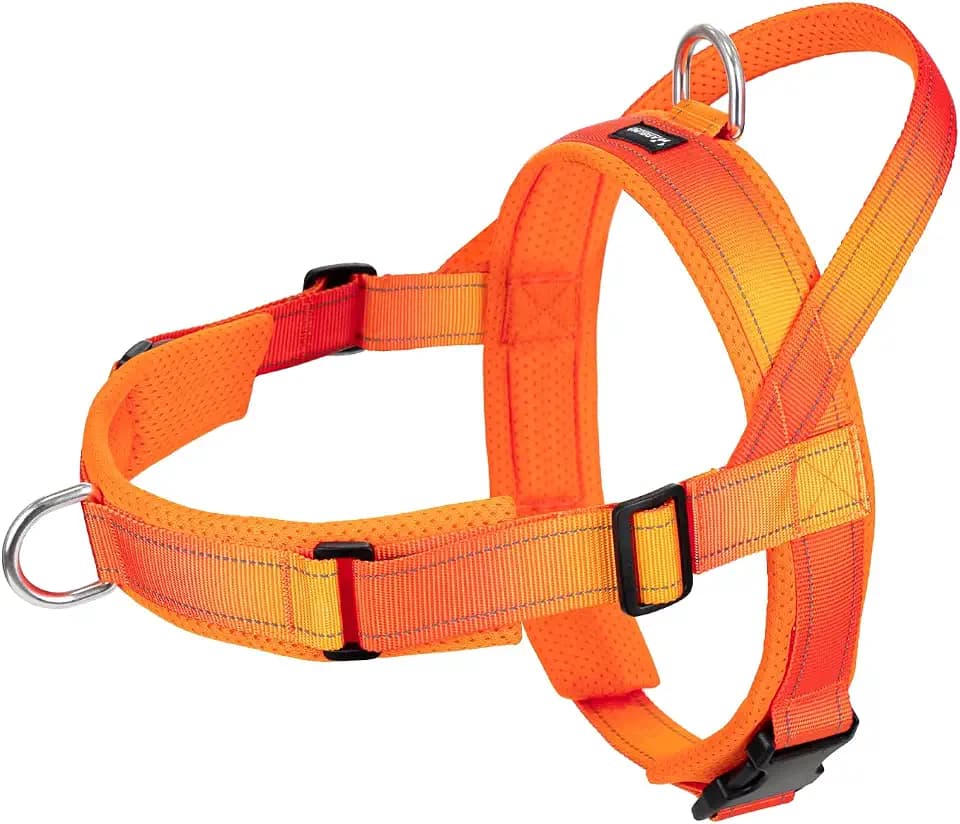 Arblina No Pull Dog Harness with Soft Mesh Padded, Fully Adjustable Walking Harness with Handle for Medium Large Dogs, Reflective Front Clip Harness for Training and Hiking, Orange, XL