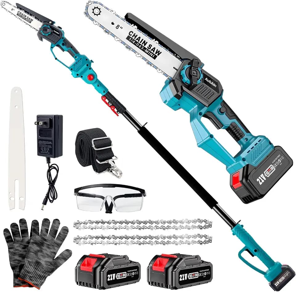 2-in-1 Cordless Pole Saw & Mini Chainsaw with Extension Pole