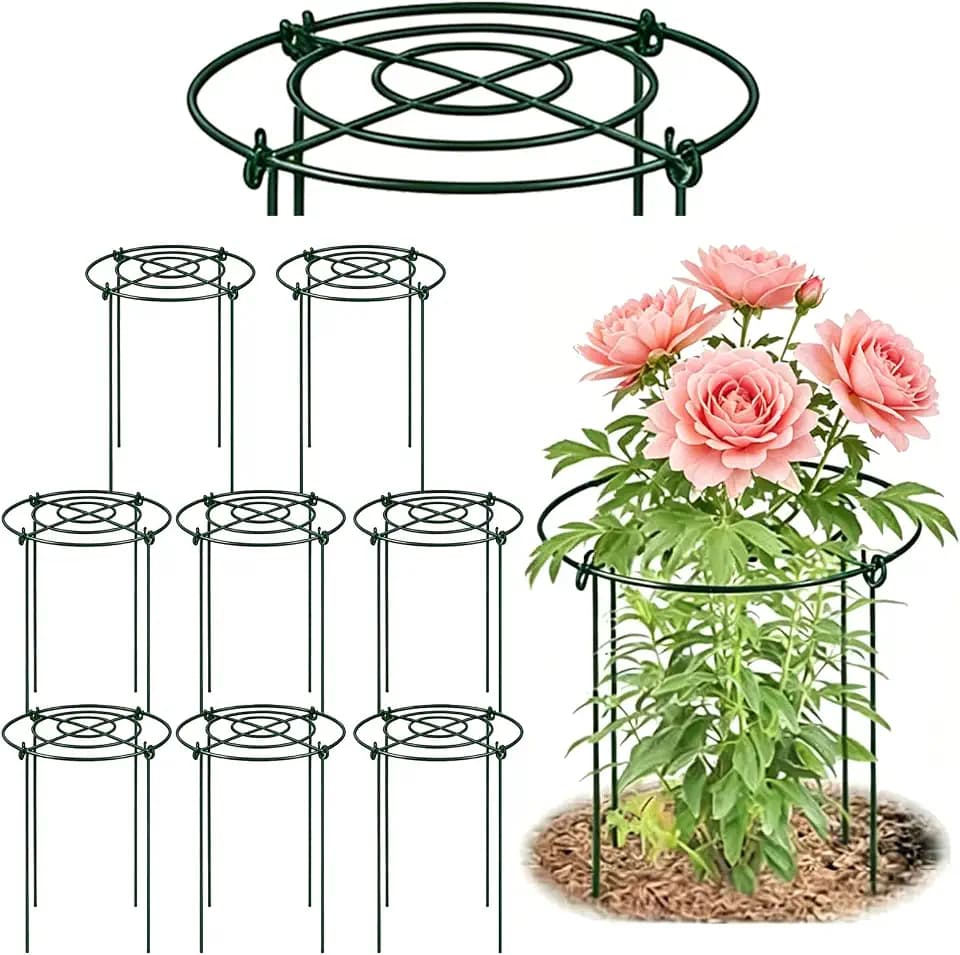 DAYUMKOU 8 Pack Peony Cages and Supports, 14" D x 24" H