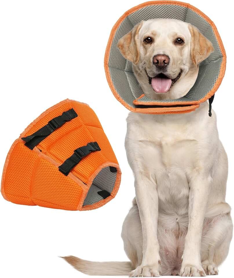 Kuoser Halskrause Hund, Hundekragen Leckschutz für Hunde, Orange XL