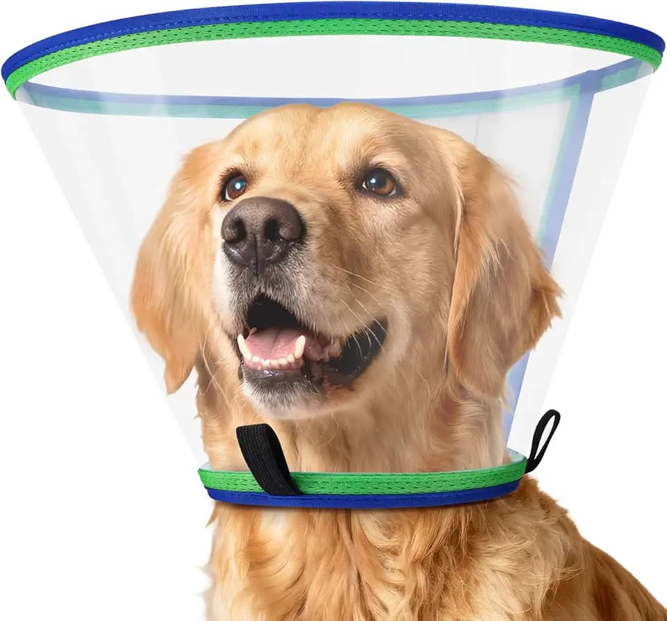 Halskrause Hund Weich, Transparenter Kunststoff-Hundekragen Leckschutz, Verstellbar Kragen Hunde, Atmungsaktiver Schutzkragen Hund, Halskrausen für Hunde, Haustier Elisabethanischer (Blau, Size 2)