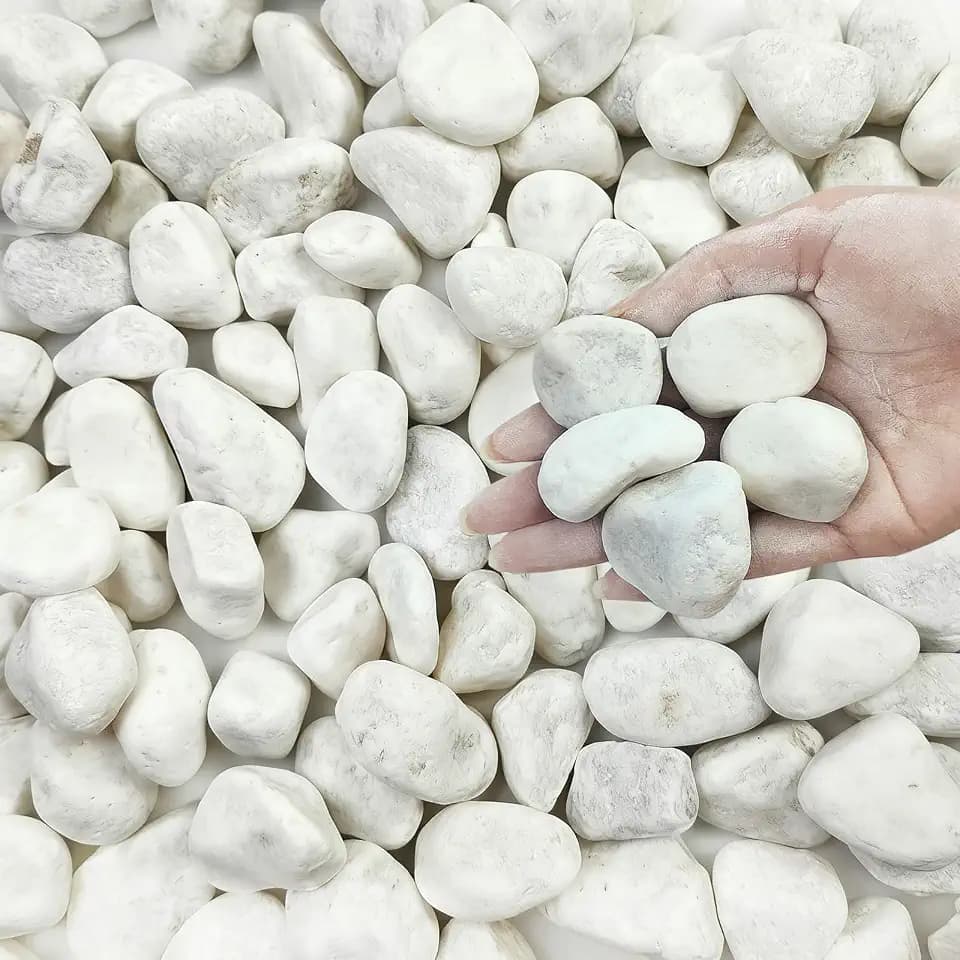 FANTIAN 5 lbs White River Rocks for Plants, 1-2 Inch Pebbles for Indoor Plants, Decorative Gravel Stones for Succulent, Cactus, Landscaping, Vases, Aquariums, Crafting and Garden