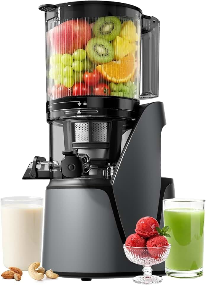 EanOruus Juicer Machines, 3-in-1 Cold Press Juicer, Premium Gray