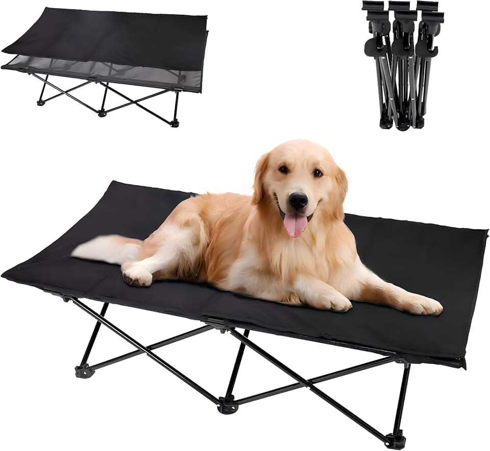 KingCamp Erhöhtes Hundebett Klappbar für Große Hunde,Golden usw,L