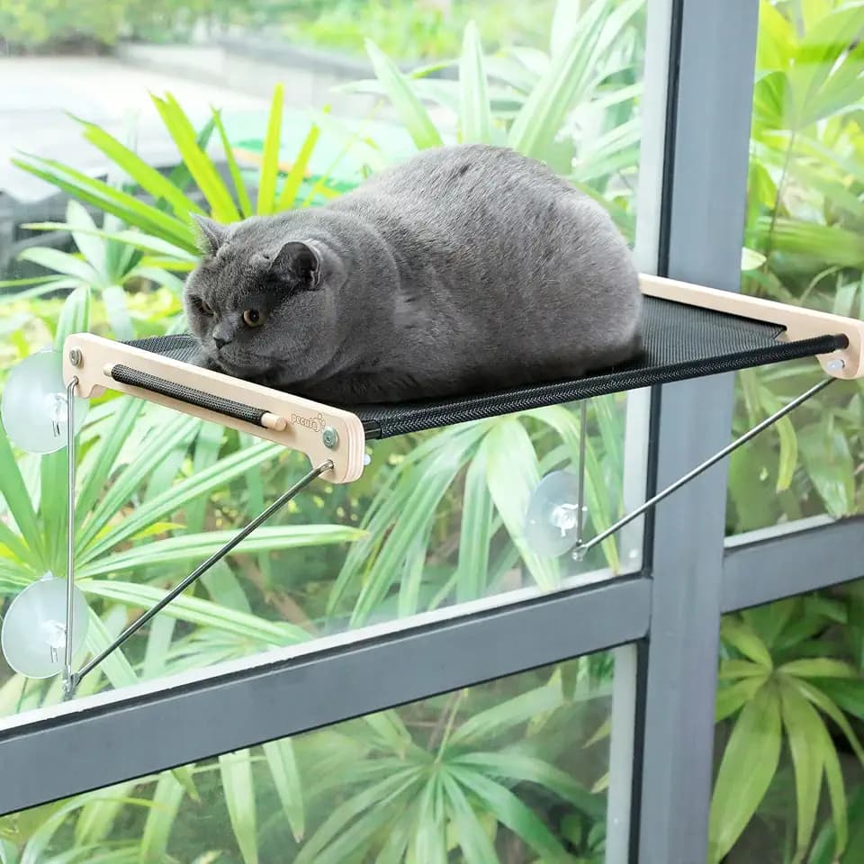 Pecute Katzen Fensterplätze (bis 20 kg), Fensterliege Hängematte für Katzen
