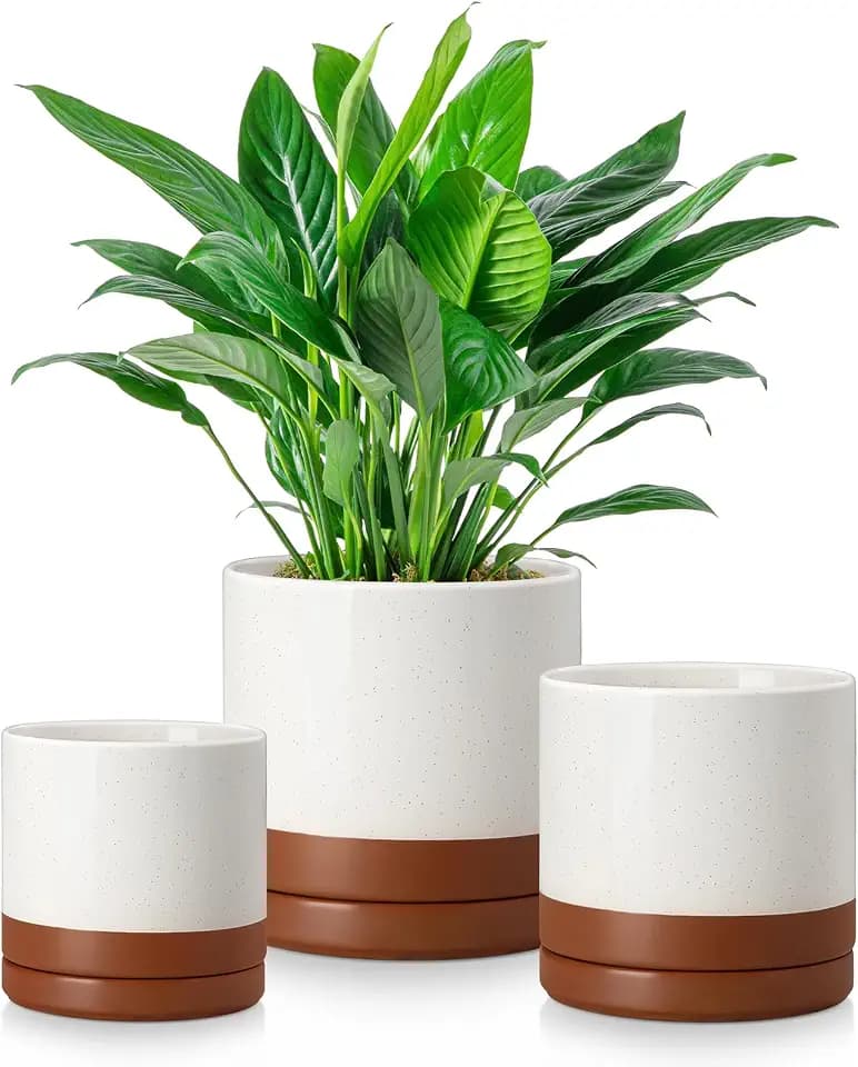 vancasso Ceramic Plant Pots, 3 Piece Planters for Indoor Plants, Khaki