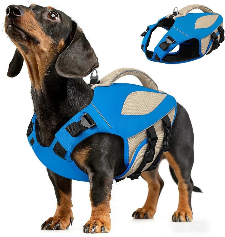AOFITEE Schwimmweste Hunde Mittel, Hoher Auftrieb Hundeschwimmweste mit Rettungsgrif und D-Ring, Verstellbar Rettungsweste für Hunde Reflektierende Hunde Schwimmweste Französische Bulldogge, M