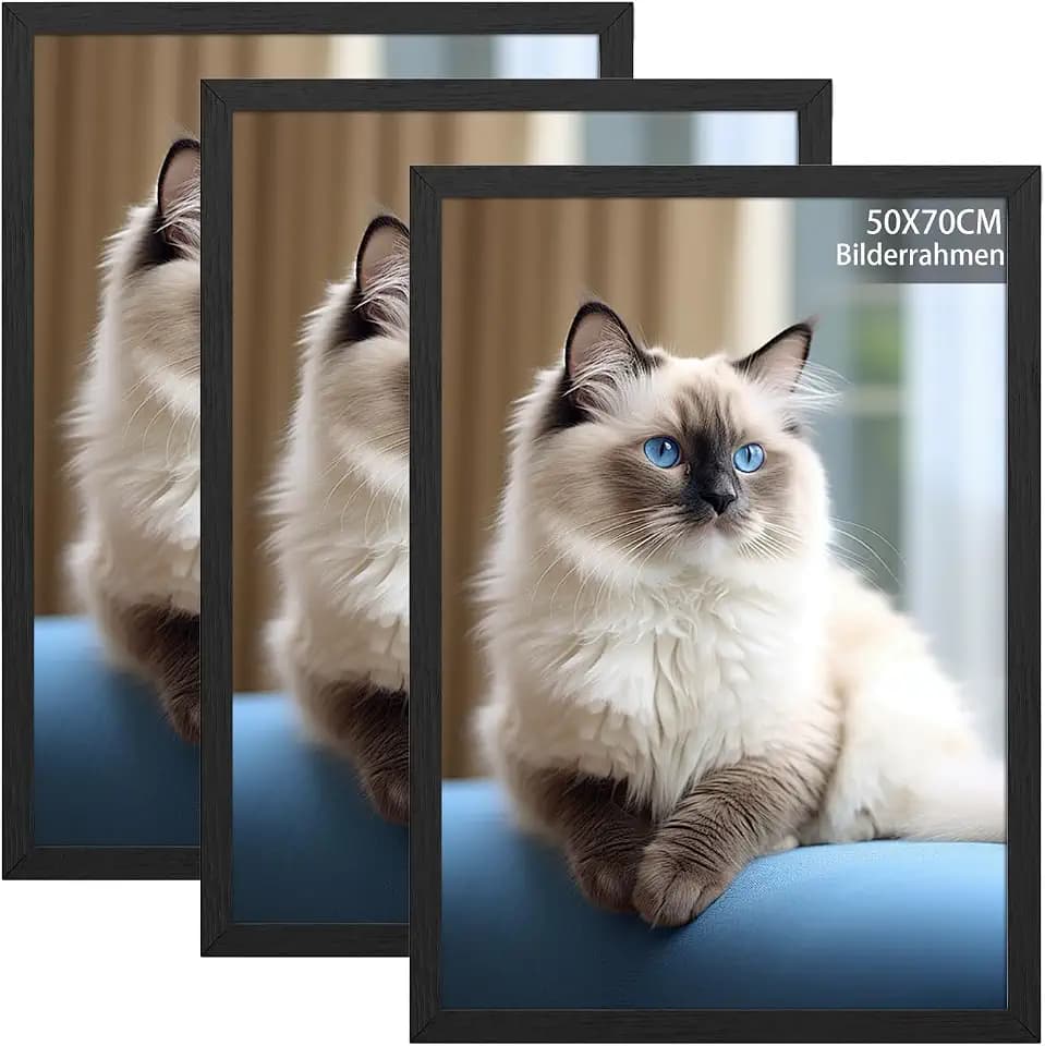 RUN HELIX 3 Pack Bilderrahmen 50x70, 50x70cm Bilderrahmen Schwarz, Fotorahmen zum Aufhängen mit Poster, Posterrahmen Benutzt für Wohnzimmer, Schlafzimmer, Arbeitszimmer