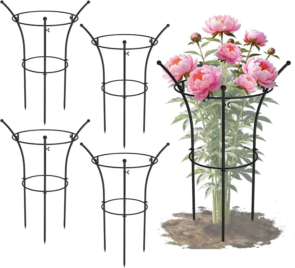 4 Pack Peony Cages and Supports, 12.5"Dx24"H Dual-Ring Metal Plant Supports