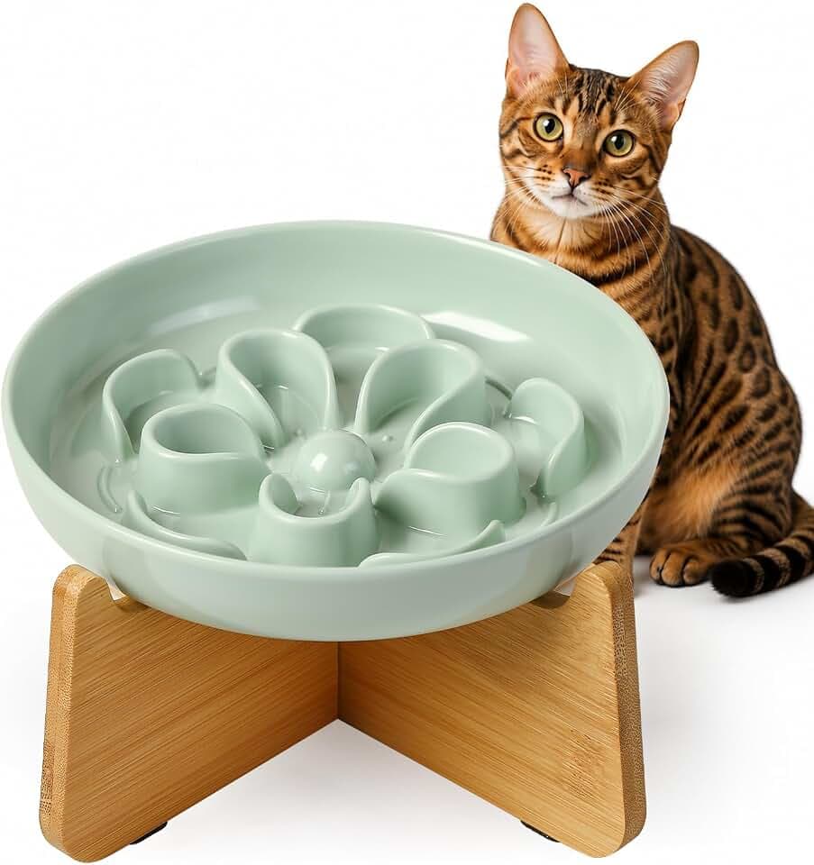Elevated Slow Feeder Cat Bowl - Melamine Cat Dish with Anti-Slip Bamboo Stand - Whisker Friendly Feeding Bowl - Floral Maze Food Plate for Slow Eating - Green