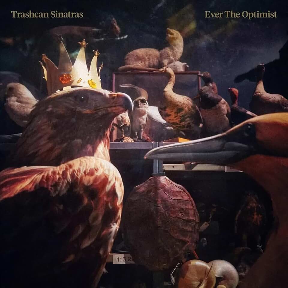 Ever the Optimist [Vinyl LP]