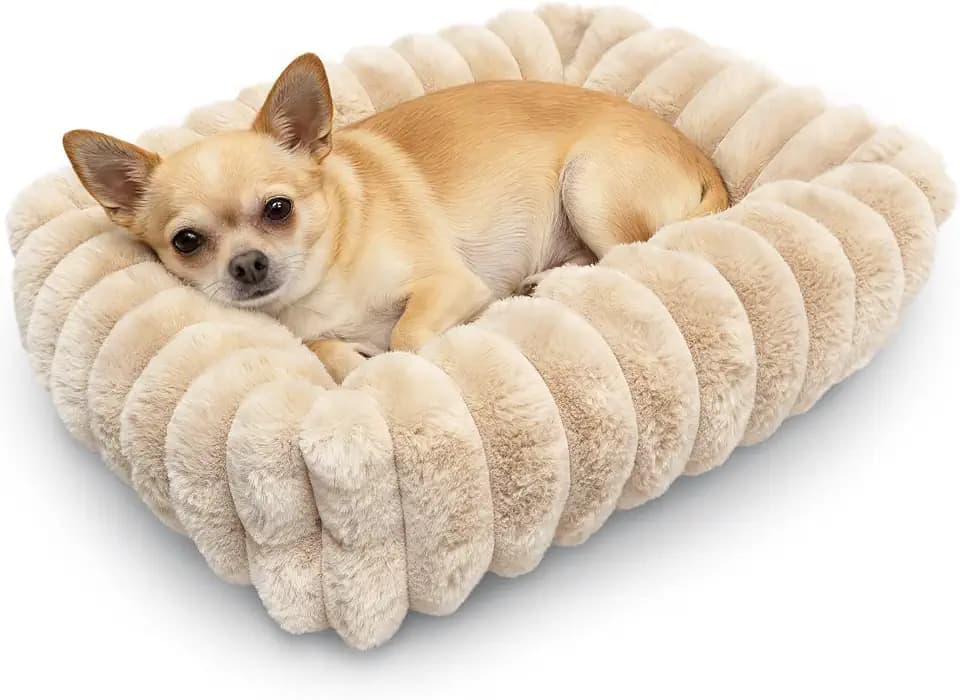 Tiny Pet Bed for Extra Small Dogs & Cats, Square Washable 18x14 Cat Bed with High Sides, Rectangle Calming Cat Beds for Indoor Kittens and Puppy, Soft Comfy Very Small Sofa for Pets Cozy Sleep, Beige