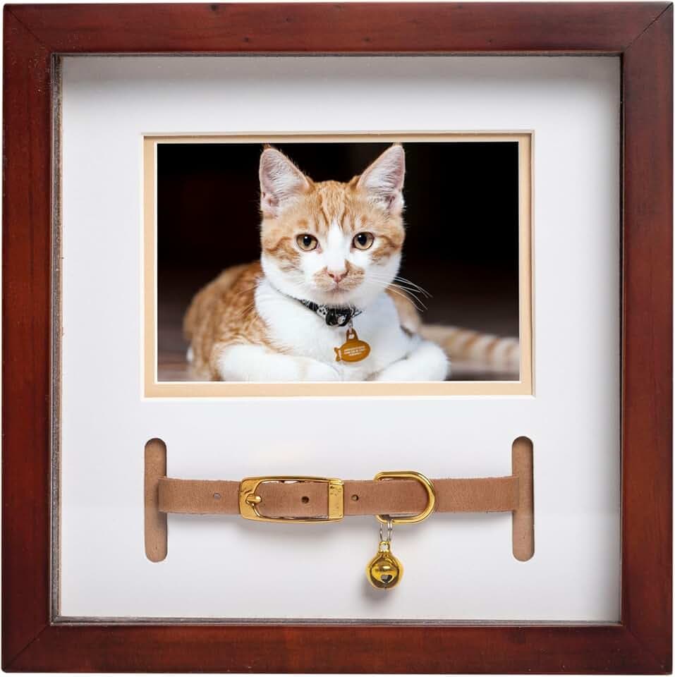 Pearhead Pet Collar Keepsake Frame - Dual Display Memorial Keepsake for Cat & Dog Collars, Wall Mount or Tabletop, Ideal Gift and Home Decor for Pet Owners, Espresso