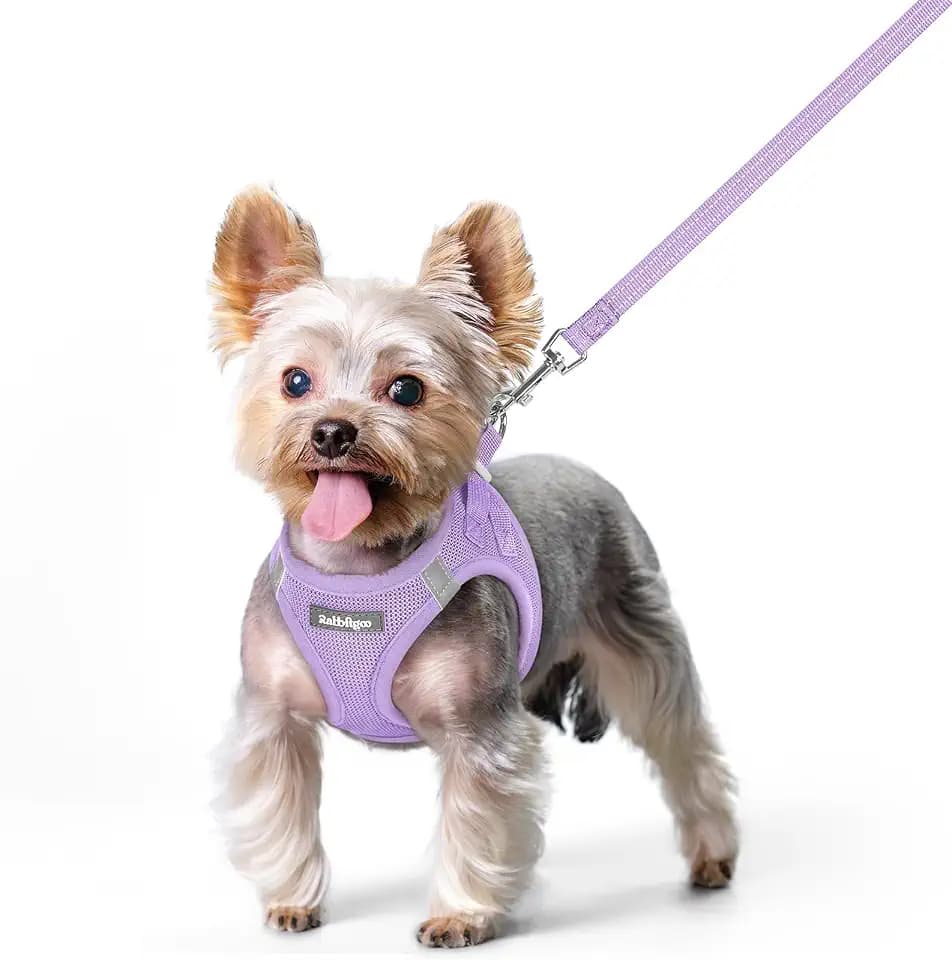 rabbitgoo Dog Harness Small Sized and Leash Set, Step-in Puppy Pet Vest