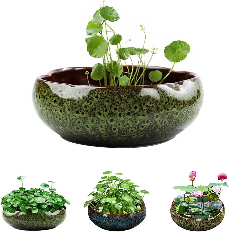 Lotus Bowl Planter, Lotus Bowls for Planting in Water Indoors, Bonsai Bowl Lotus Flower Seeds, Ceramic Planters for Indoor Plants, Leak-Proof Design for Succulent Plants Fish Home Decor (Green)