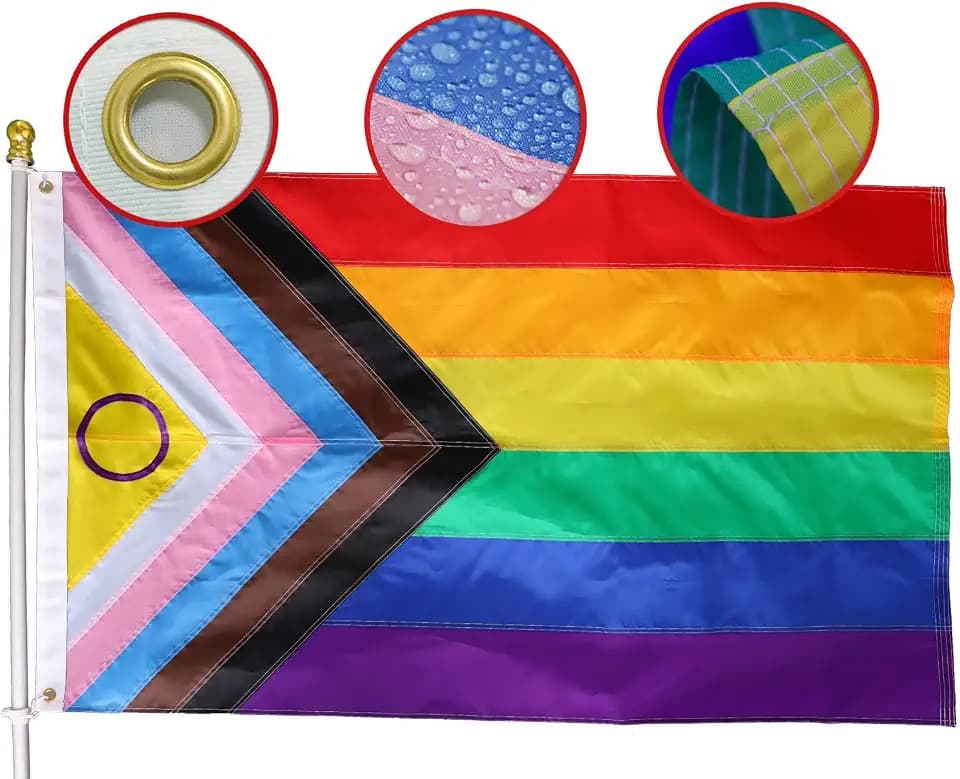 Bestickte Flagge "Progress Pride", 60 x 90 cm, für den Außenbereich, langlebigstes Nylon, 220D genähte Streifen, inklusive progressiver Flagge, LGBTQ+, Geschenk, Hausdekoration, Banner