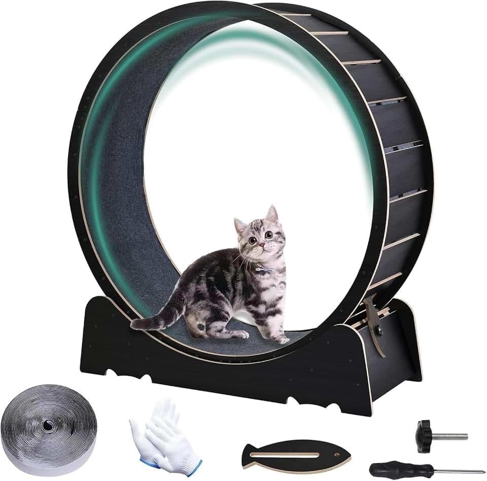 Large Cat Exercise Wheel 40 Inch Treadmill Exerciser for Indoor Cats Love Kitty Running Toy Walking Training for Fitness Weight Loss Device Suitable for Most Cats Physical Exercise