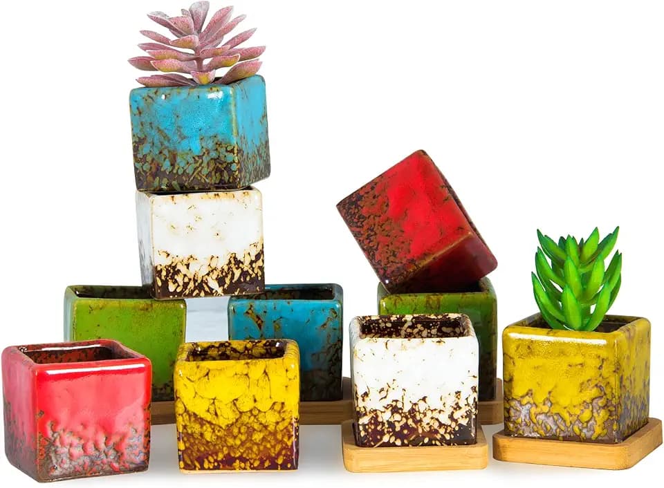 Set of 10 Succulent Pots with Drainage Trays, Small Square Plant Pots Bulk