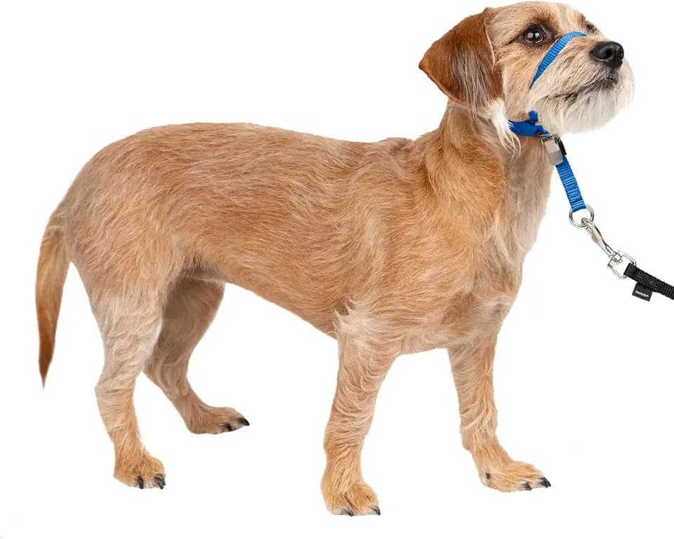 PetSafe Gentle Leader No Pull Dog Headcollar, Royal Blue, Small