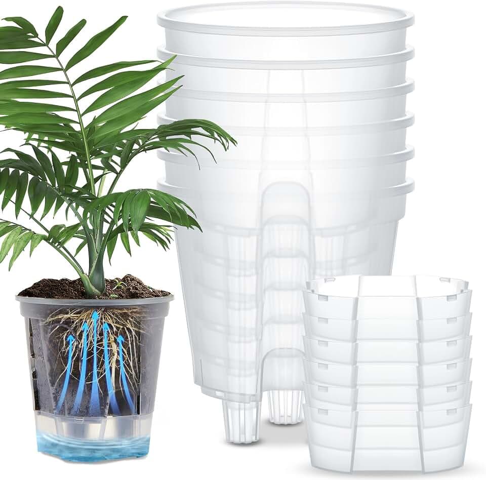 Wonderjune Self Watering Planter, 8.27'', Clear, 6 Pcs