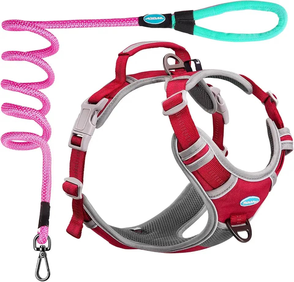 ThinkPet No Pull Harness Set Breathable Sport Harness with Handle - Reflective Padded Dog Safety Vest with Reflective Neon Dog Leash L Harness Leash Pack Red
