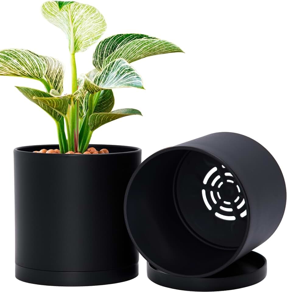 D'vine Dev 2-Pack Black Plastic Planters with Saucers, 6 in, 74-Y-J-1