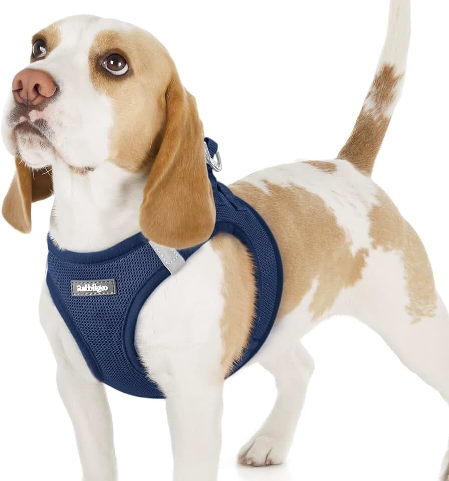 rabbitgoo Step-in Small Dog Harness, Puppy Vest for Small Sized Pet