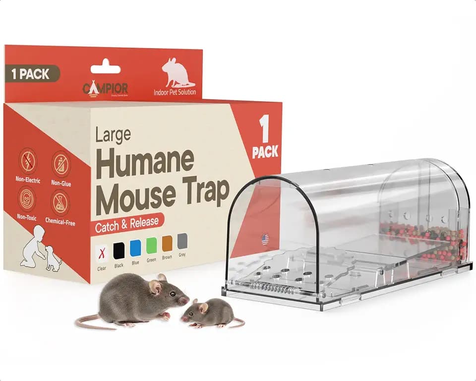 Campior Humane Mouse Trap Pack of 1, Live Mouse Traps Catch and Release for Indoors & Outdoors, Pet & Child Safe, 7.87" Reusable Plastic Mouse Cage with Spring Door, Cleaning Brush Included, Clear