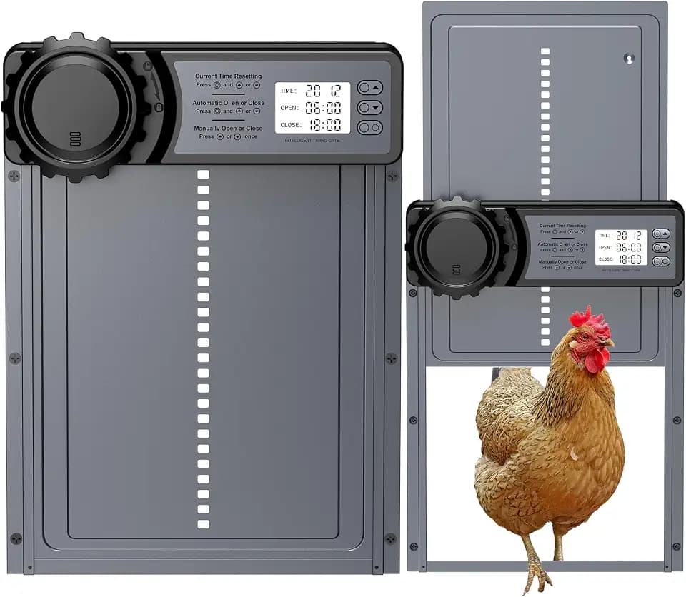 Aluminum Automatische Hühnerklappe Batterie mit Timer