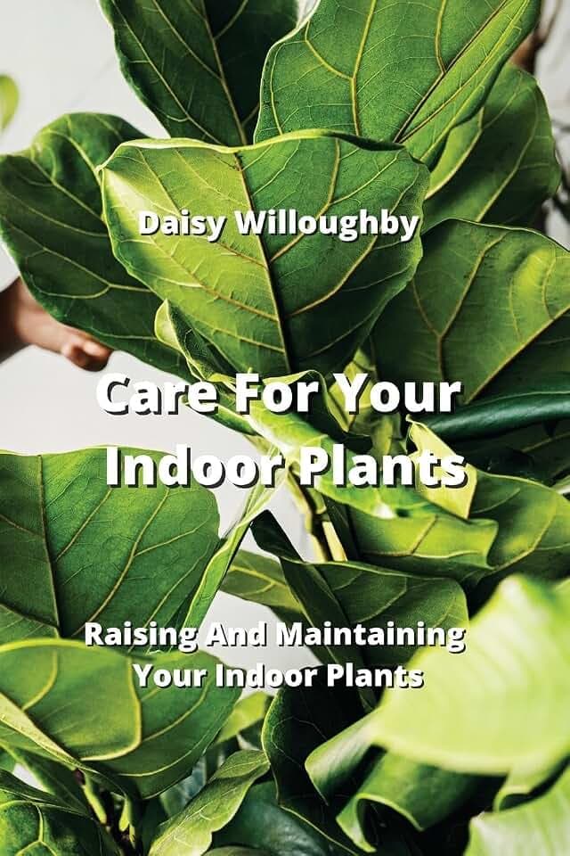 Care For Your Indoor Plants: Raising And Maintaining Your Indoor Plants