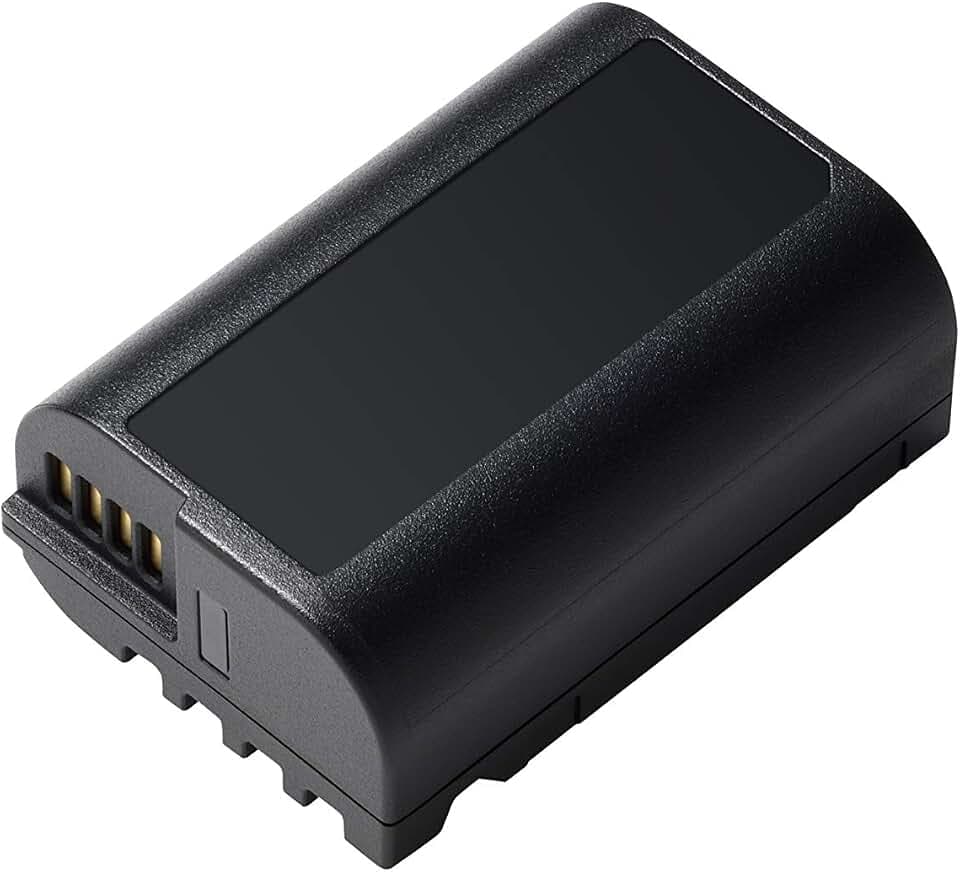 Panasonic LUMIX DMW-BLK22E Akku für LUMIX S5 und GH5M2 Digitalkameras, 7,2 V, 2200 mAh, 16 Wh, Schwarz