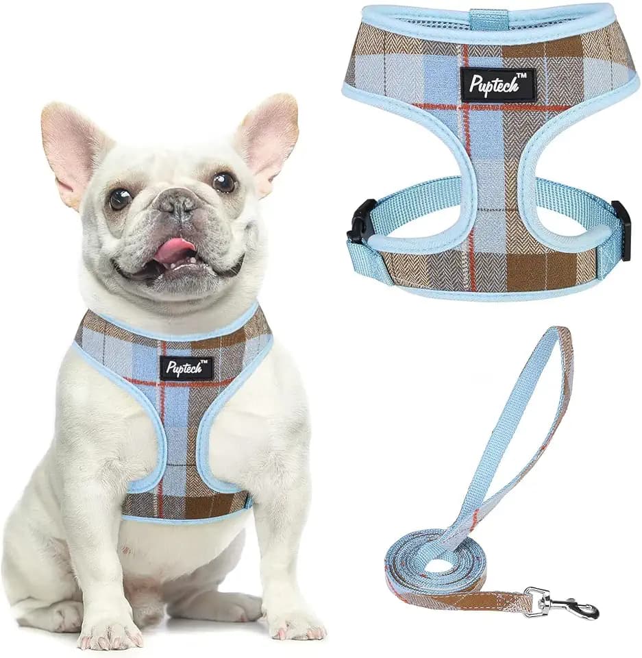 PUPTECK Small Dog Harness and Leash Set No Pull for XS XXS Sized Dogs Puppy