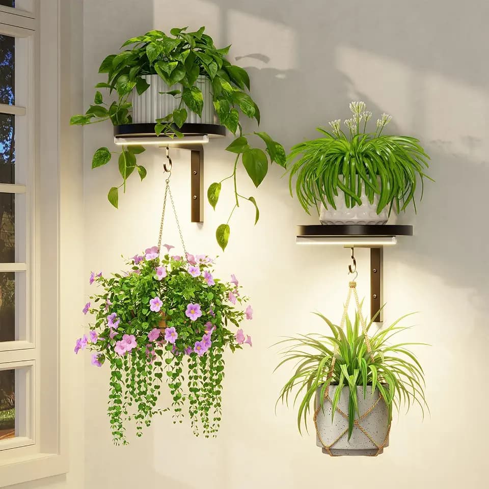 LASZOLA Plant Hanger Holder Shelf Wall Indoor with Lights, 2 Pcs Black