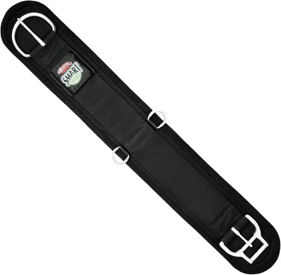 Weaver Leather Equine - Nylon Felt Lined Straight Smart Cinch for Horses, Black, 36-Inch
