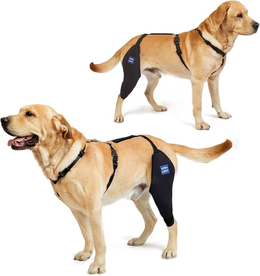Dog Knee Brace with Harness and Connection Belt, Lightweight and Stretchable, Support for Torn ACL Hind Leg, Luxating Patella, Reduces Arthritis Pain and Inflammation (XX-Large)