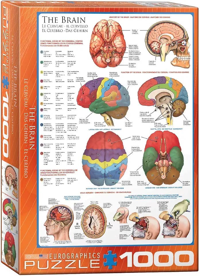 EuroGraphics, The Brain, 1000 Piece Puzzle