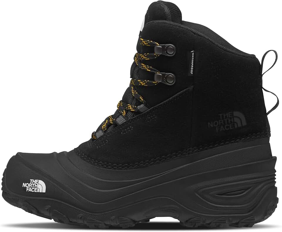 THE NORTH FACE Unisex Kinder Y Chilkat V Lace WpHiking Boots