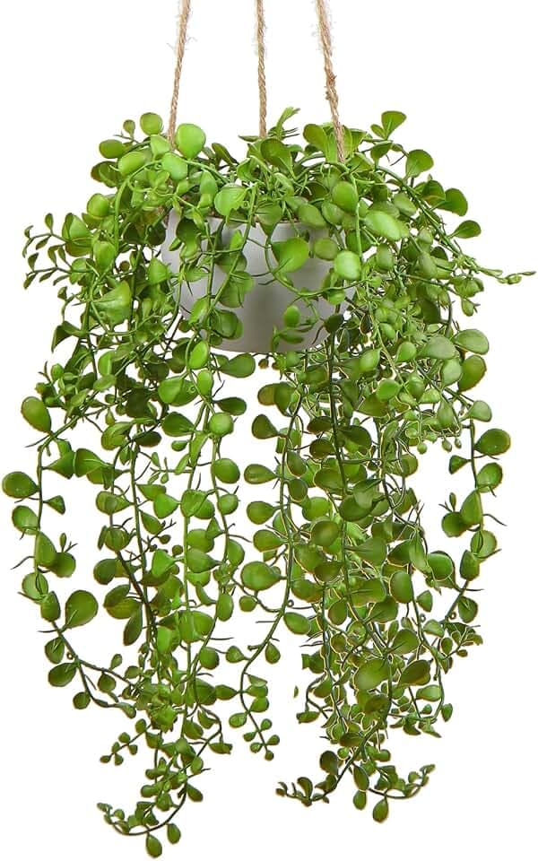Briful Künstliche Pflanzen Ficus Pumila Hängepflanze Zimmer Wand Deko Aesthetic Kunstpflanze, Höhe 35.5 cm, in Hängeampel