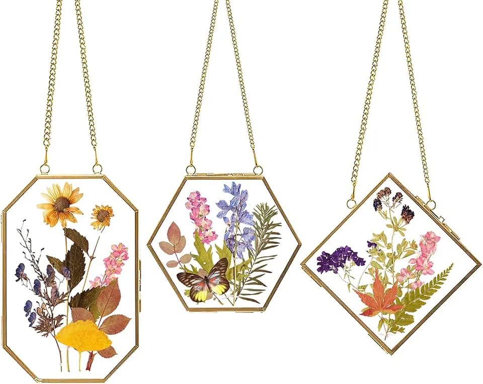 Apipi Hanging Glass Frames for Pressed Flowers Crafts with Sturdy Chain
