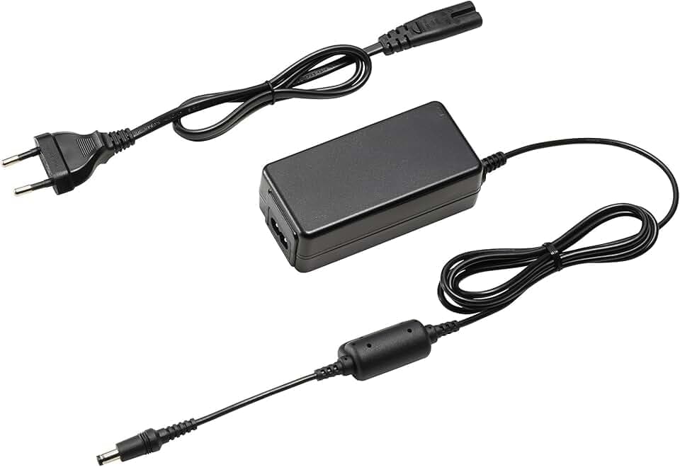 Panasonic LUMIX DMW-AC10E Netzadapter (geeignet für LUMIX Kameras wie DMC-FZ100 und FZ300 sowie LUMIX DMC-GH4) schwarz