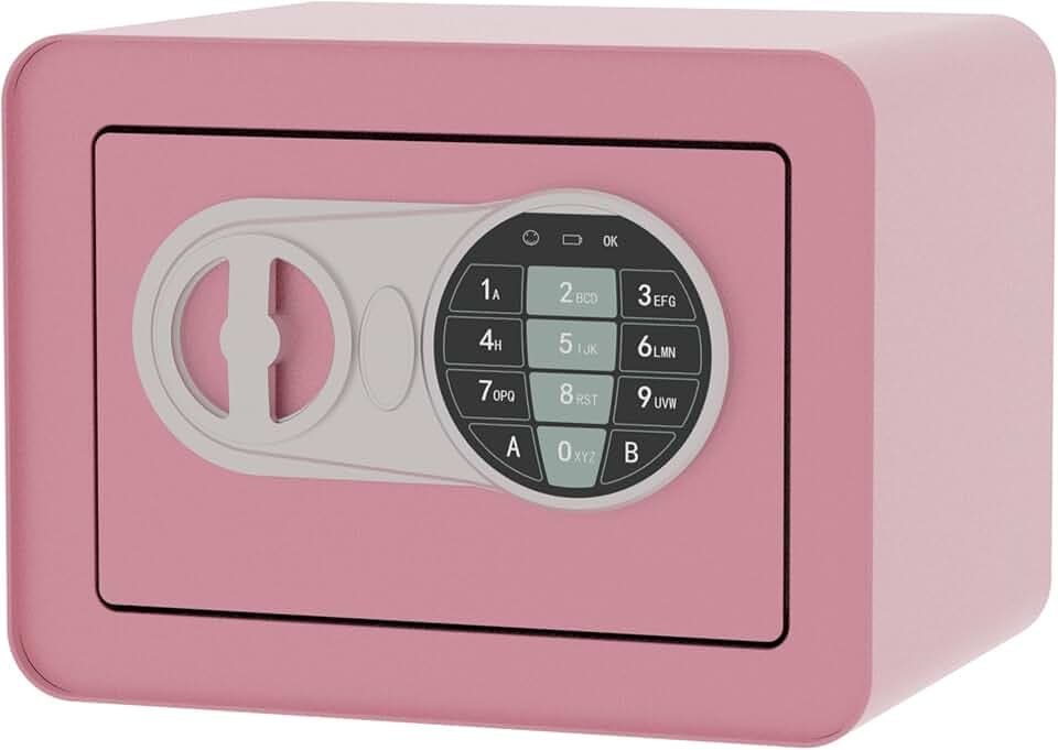 Small Safe Box - Home Safe for Money Jewelry Documents, Solid Lock Box, Mini Security Box with Digital Electronic Security Keypad for Home Office Hotel (Pink)