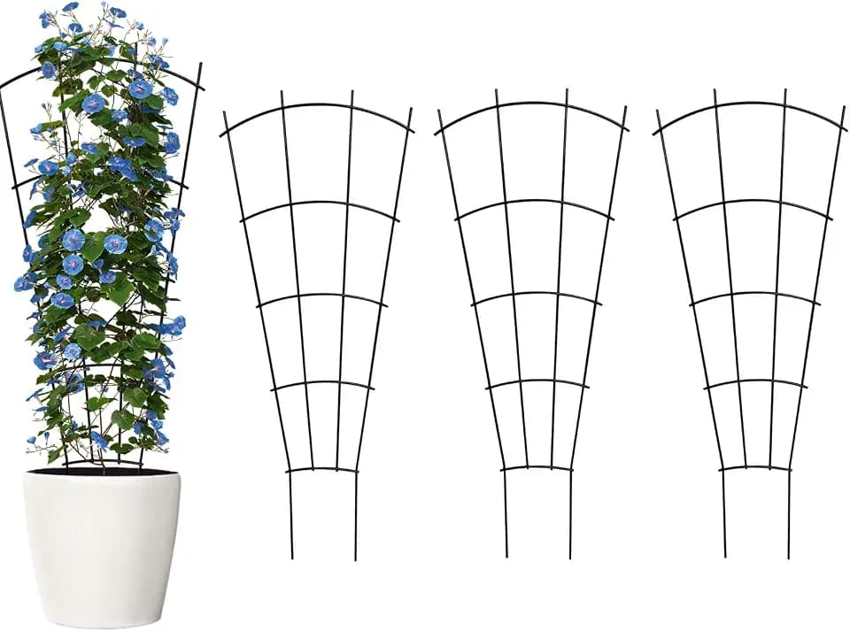 Thealyn 43" Tall Metal Plant Trellis Climbing Plant Support, 4 Pack Black