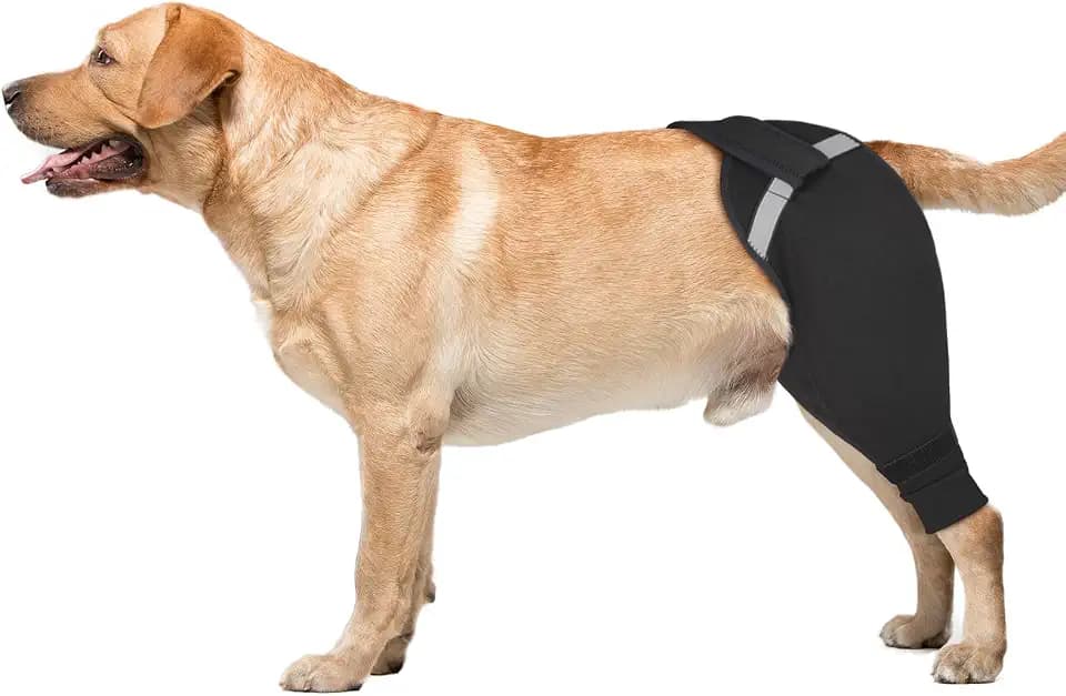 Dog Rear Leg Sleeve to Stop Licking Surgery Recovery Suit Hind Wound Cover