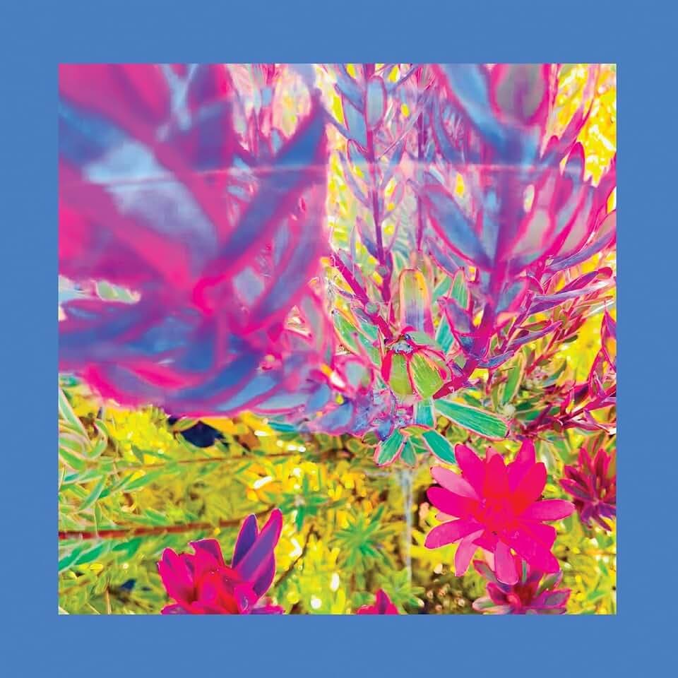 The Past Is a Garden I Never Fed (Neon Pink Vinyl) [Vinyl LP]