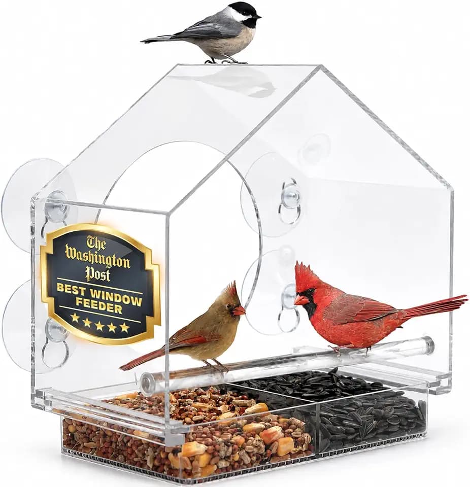 Window Bird Feeder with Strong Suction Cups, 2 Pack, Bird Feeders Outdoor