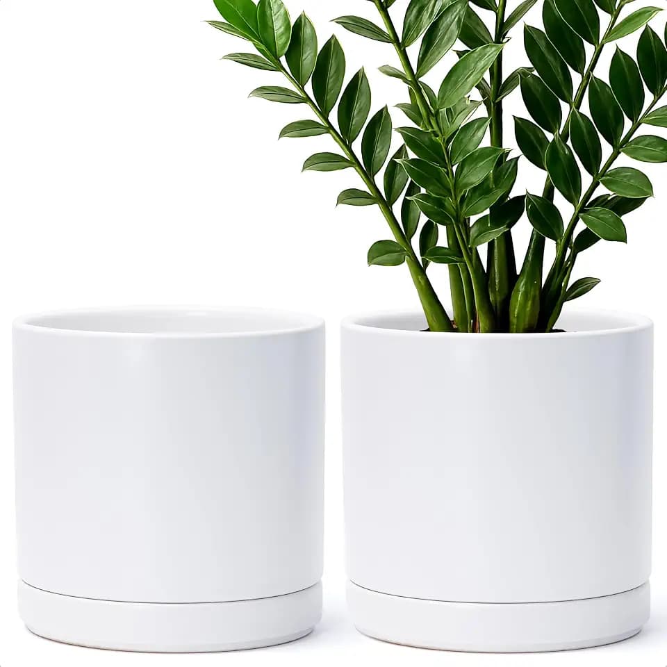 D'vine Dev 2-Pack Ceramic Pots with Saucers, White, 8.2 in, 94-V-D-1