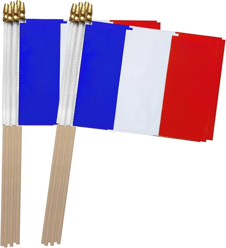 TSMD France Stick Flag French Small Mini Hand Held Flags,5x8 Inch,12 Pack