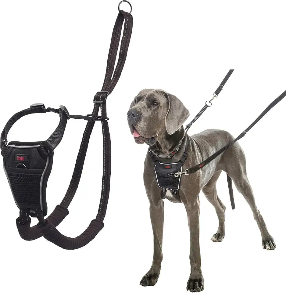 Halti No Pull Dog Harness | Size L, Black
